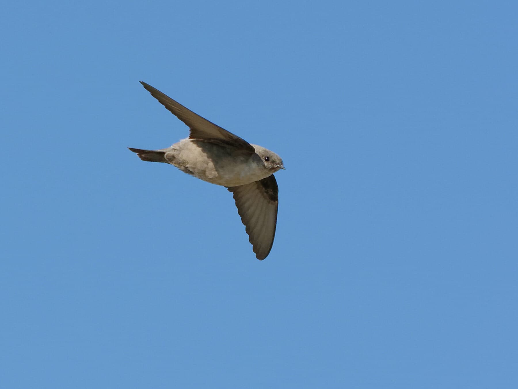 Crag Martin flying through the sky