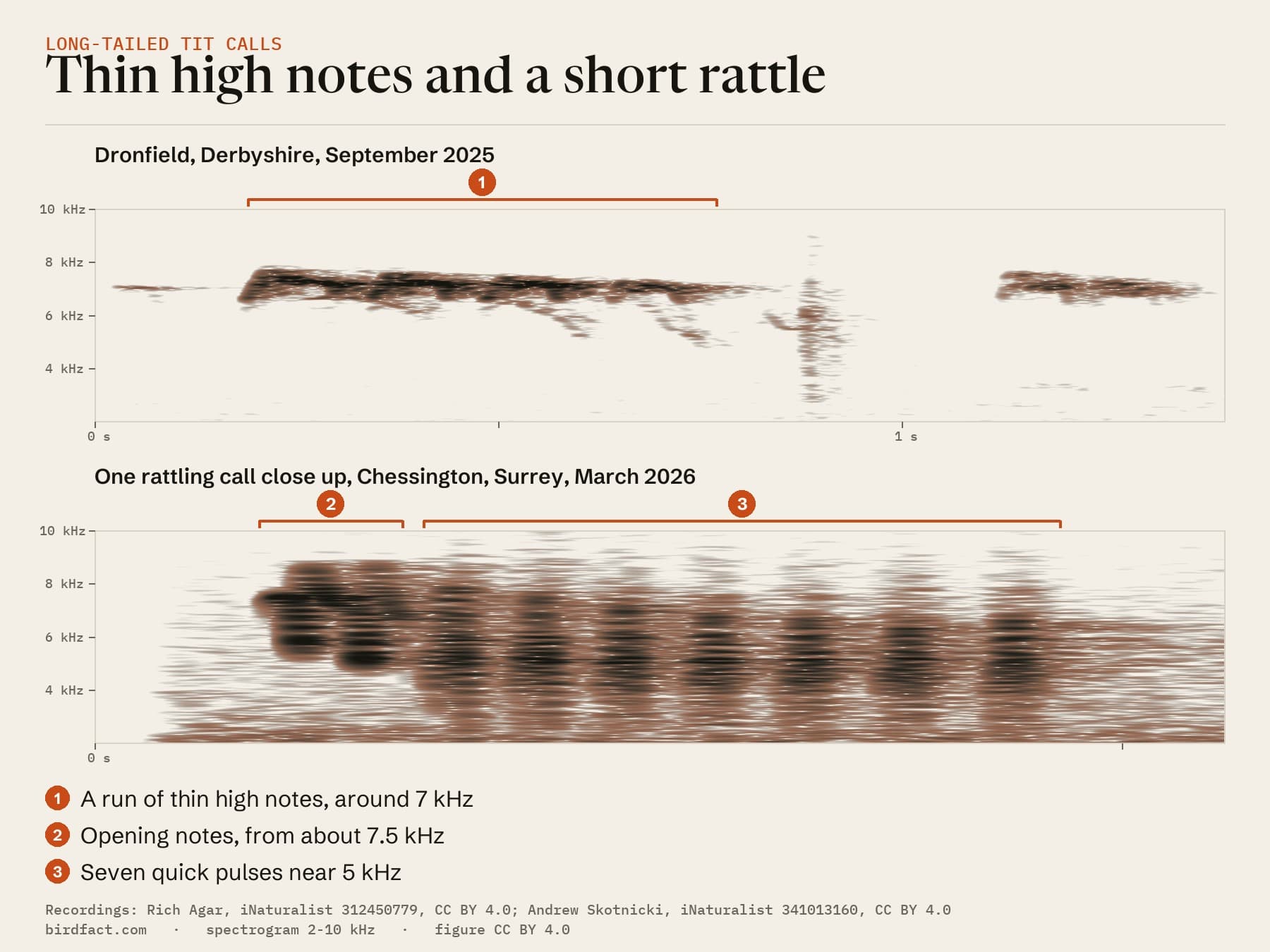 Long-tailed Tit calls drawn as spectrograms: a run of thin high notes around 7 kHz from Dronfield, and one rattling call from Chessington, close up