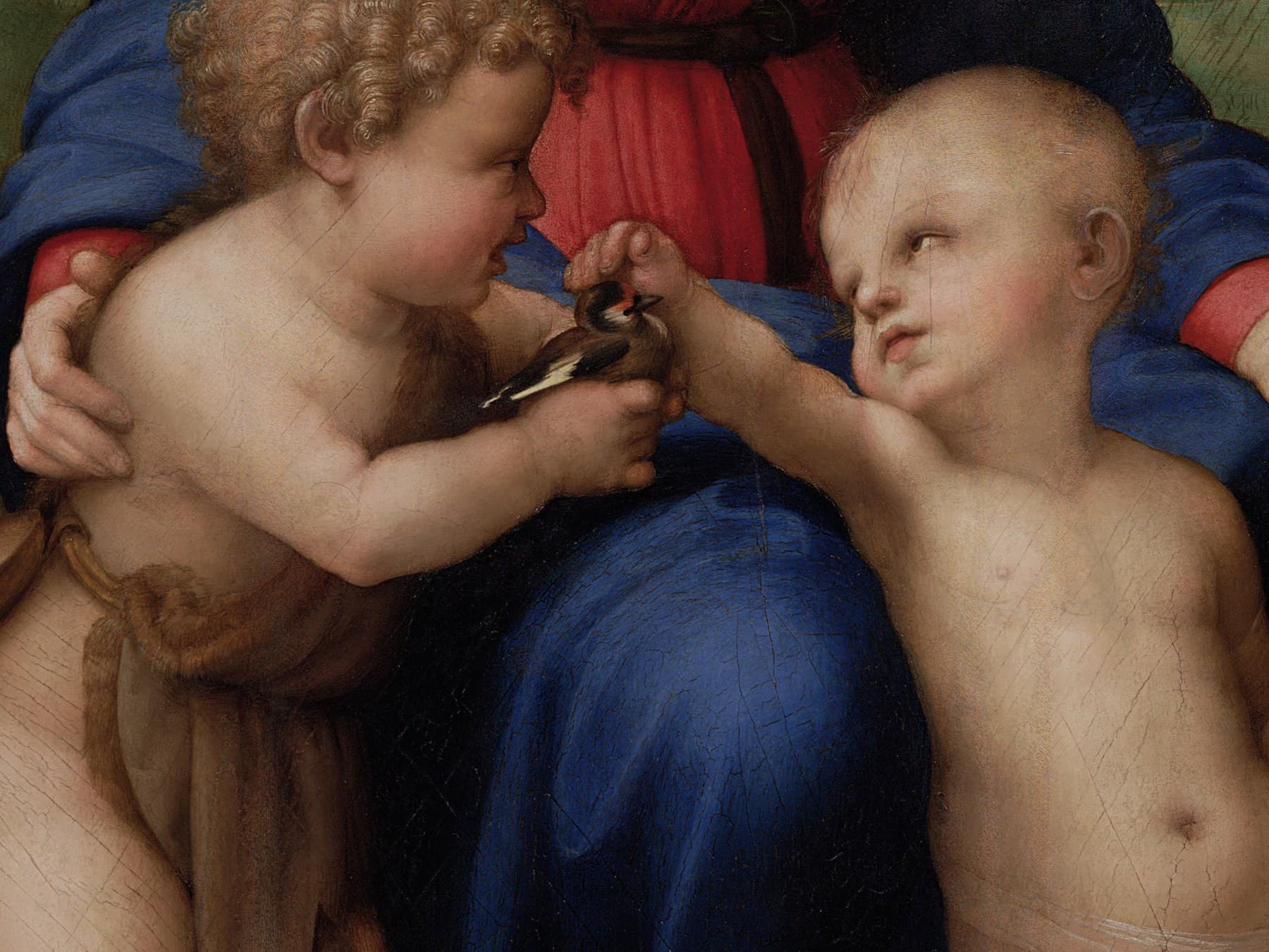 Raphael, Madonna del Cardellino (detail): the young John the Baptist holds out a goldfinch to the infant Christ