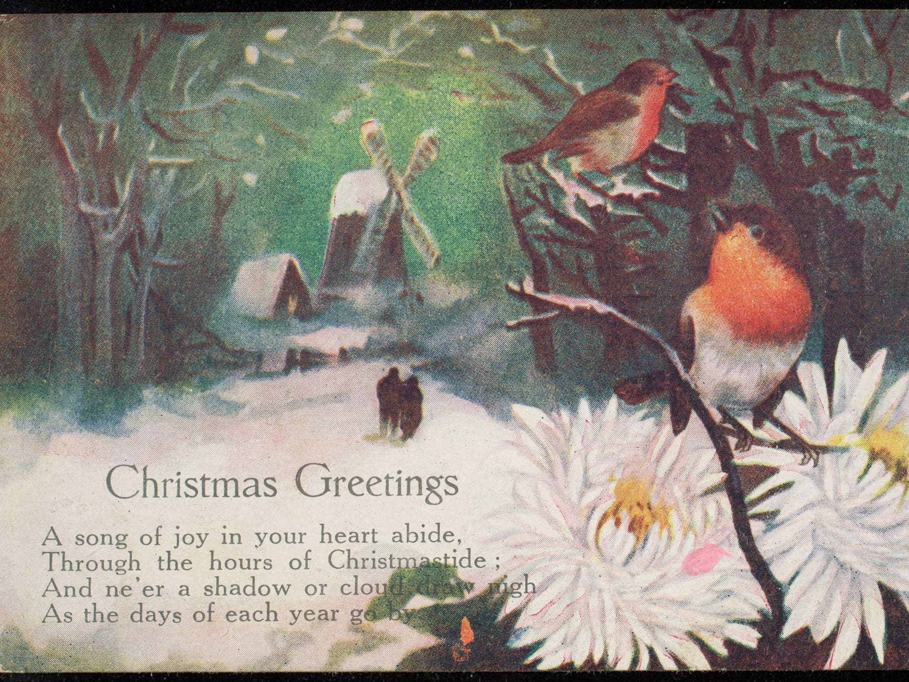 An early 1900s Christmas postcard: two robins on a branch over white chrysanthemums beside a snowy lane with a windmill, and a verse headed Christmas Greetings