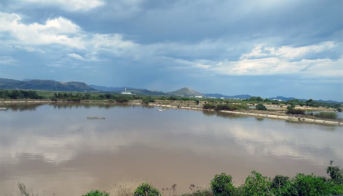 Son Bosc and Depuradora