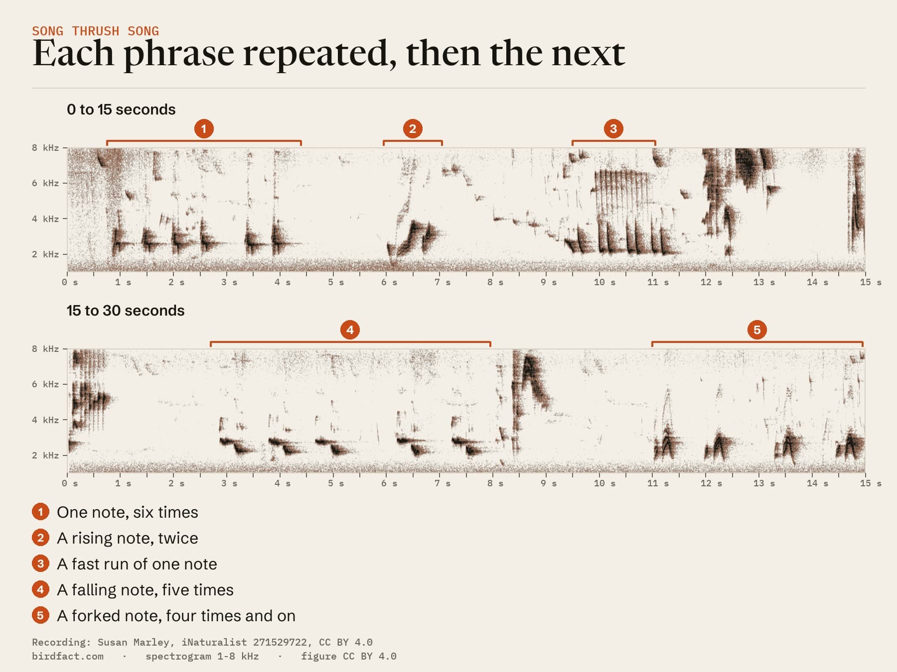 Spectrogram of 30 seconds of a Song Thrush singing in Liverpool, its repeats numbered: one note six times, a rising note twice, a fast run of one note, a falling note five times and a forked note four times and continuing