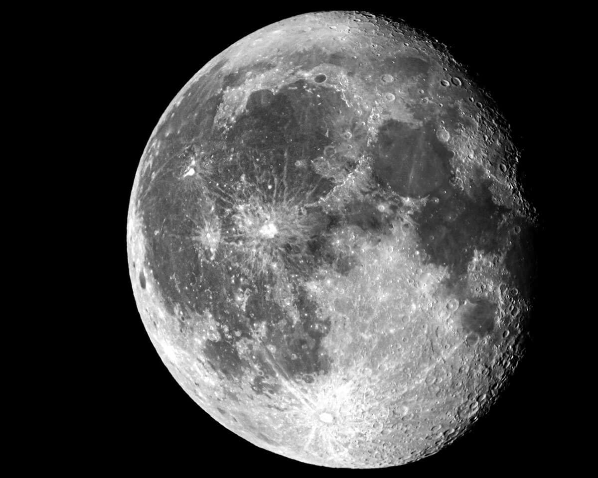 Which Birds Sing At Night? The Science Behind Nocturnal Singing