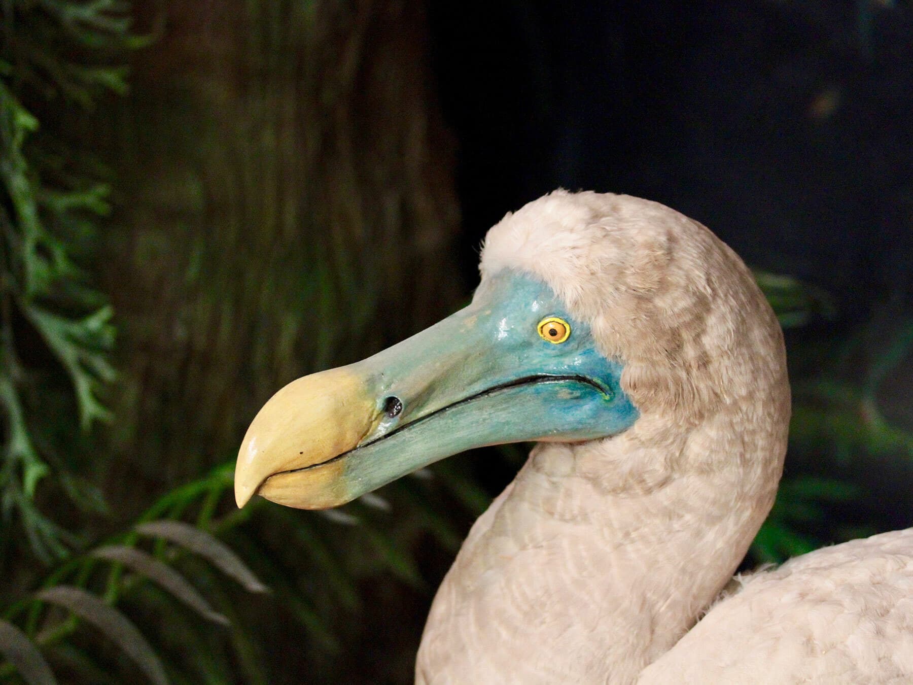 When Did The Dodo Go Extinct? The Complete Story