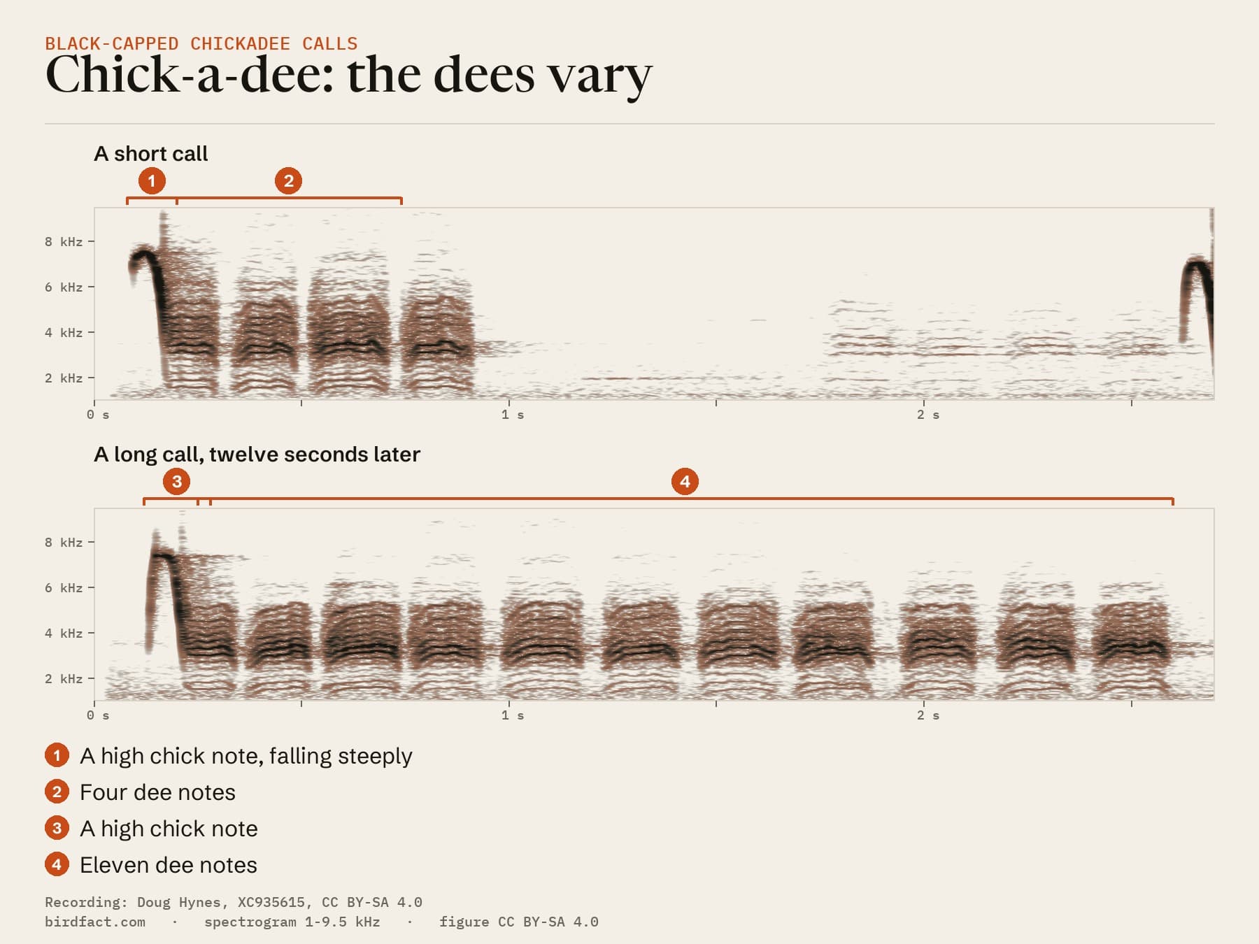 Two chick-a-dee calls from the Newfoundland recording on one 2.7-second scale. Each starts with a high note falling steeply from about 7.5 kHz, followed by buzzy dee notes, each a stack of bands mostly between about 1.5 and 6 kHz. The first call has four dee notes, the second eleven.
