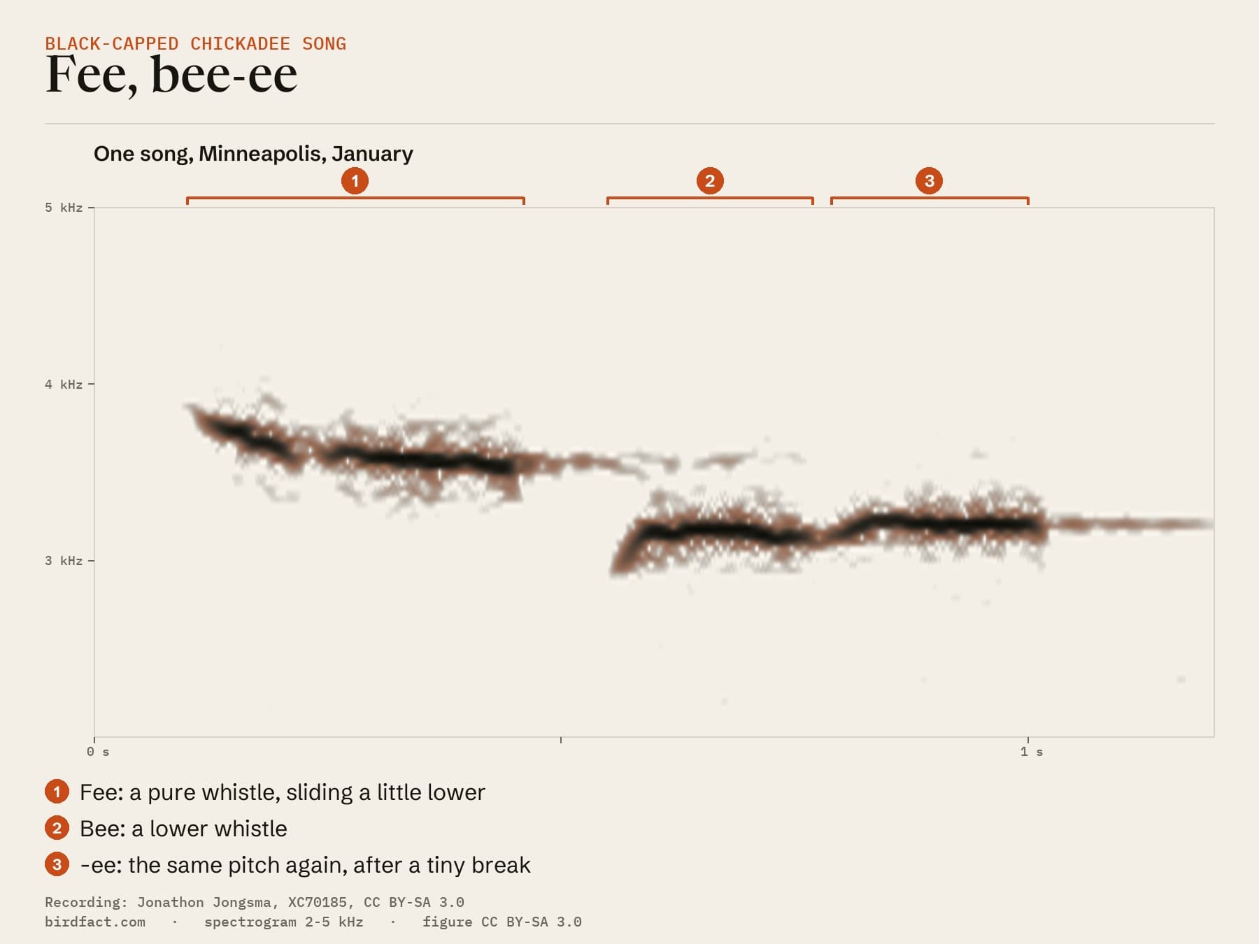 One fee-bee song from the Minneapolis recording, about 0.85 seconds long: a pure whistle near 3.7 kHz that slides slightly lower, a short gap, then a lower whistle near 3.15 kHz split in two by a tiny break.