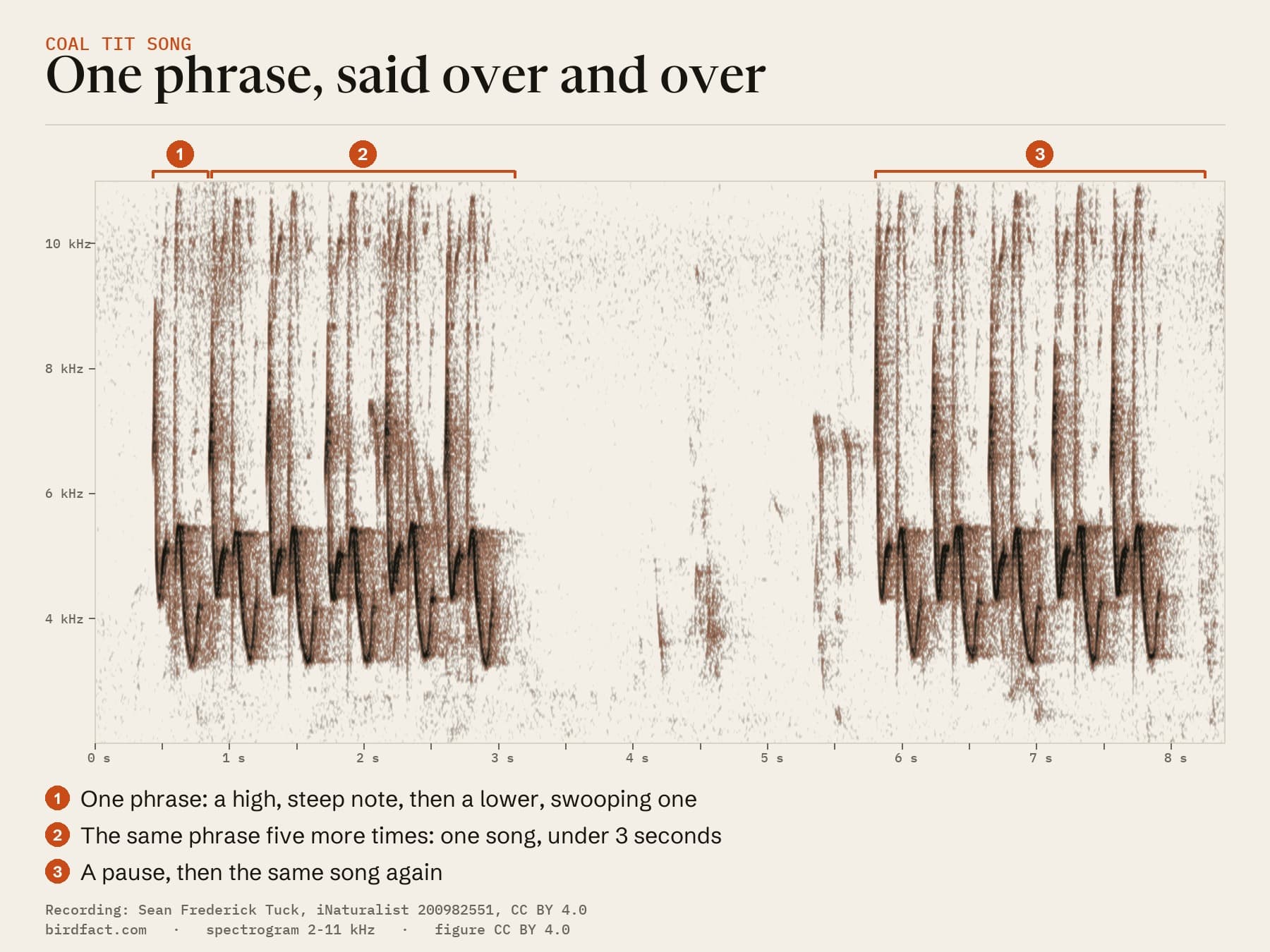 The recording above drawn as a spectrogram (pitch against time): each phrase is a high, steep note and a lower, swooping one; six phrases make a song of under 3 seconds, then a pause and the same song again