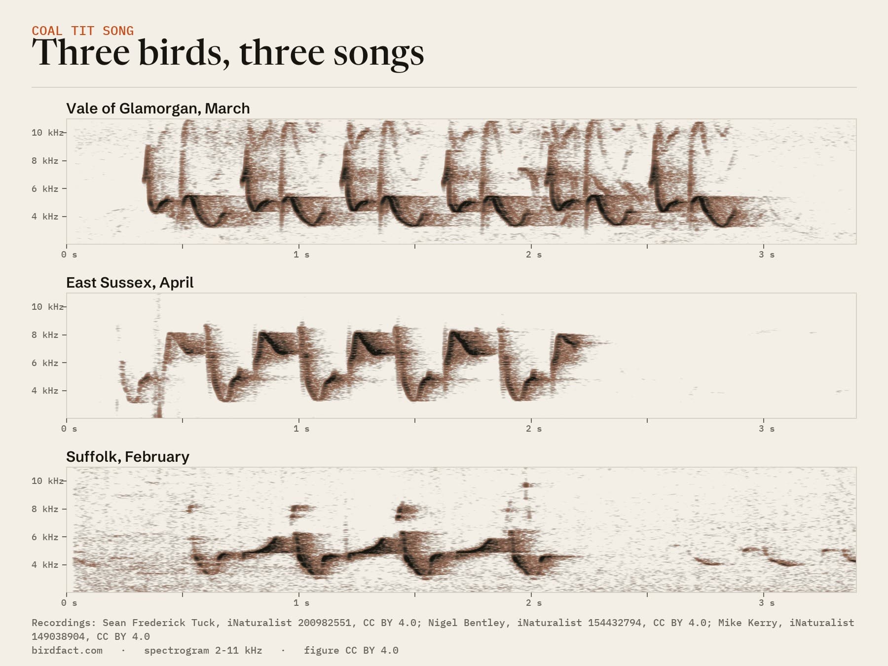 Songs from three British Coal Tits on the same time scale: in the Vale of Glamorgan a high stroke and a swoop, in East Sussex a note rising to about 8 kHz and dropping steeply, in Suffolk lower, rolling notes