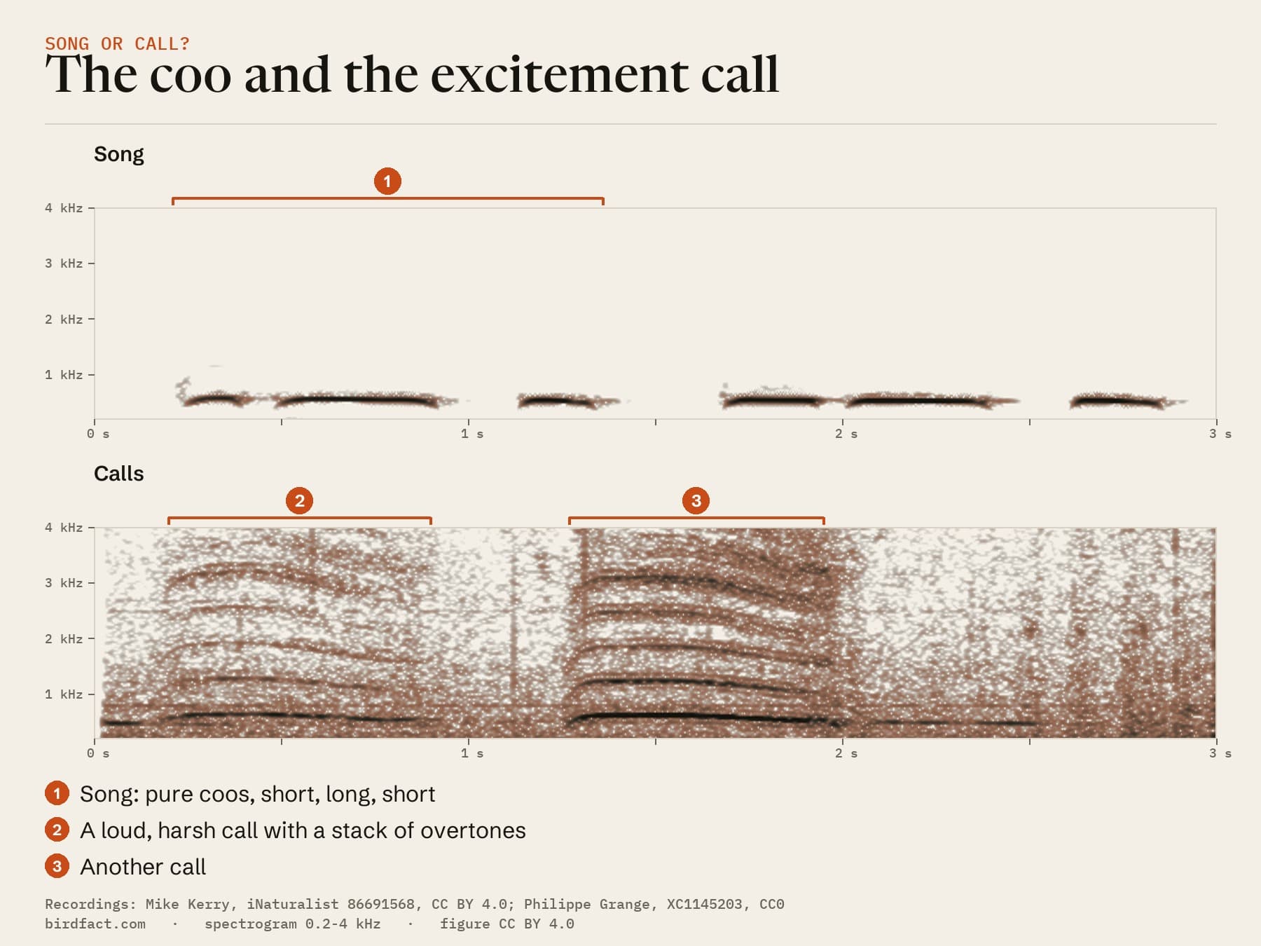 The Seaford song above and two calls from the French recording below, on one time scale. The coo is a thin, pure line; each call lasts about two-thirds of a second and is stacked with overtones reaching above 3 kHz.