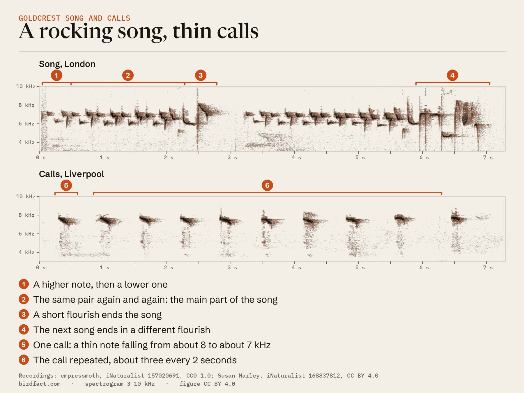 Two songs from the London recording above, drawn as a spectrogram (pitch against time), over a run of calls from Liverpool: each song is a string of note pairs switching between about 7 kHz and about 6 kHz, then a flourish; each call is a thin note falling from about 8 to about 7 kHz