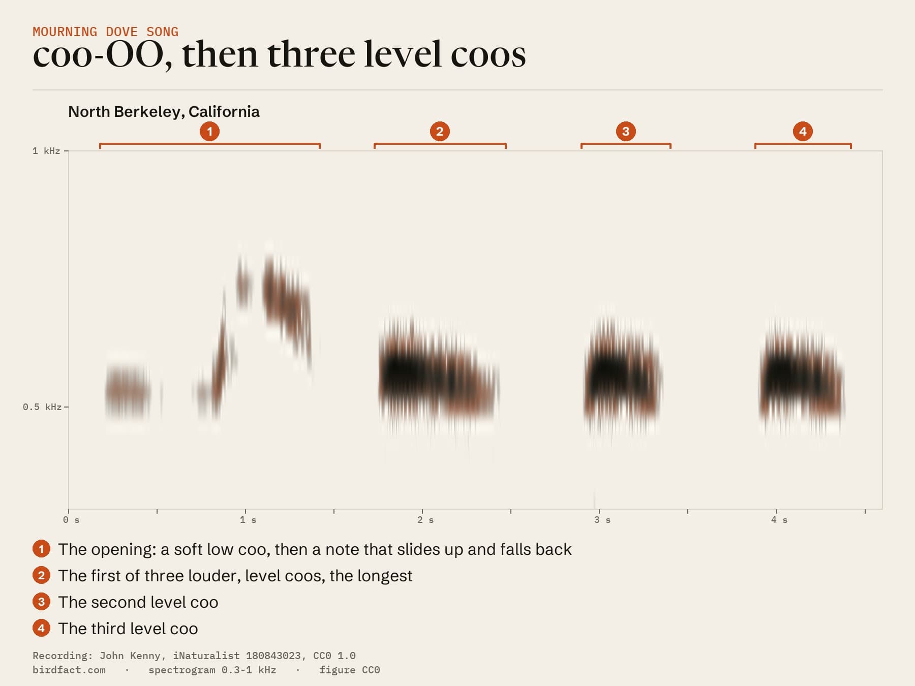 The first song of the Berkeley recording as a spectrogram, pitch against time: (1) the opening, a soft low coo, then a note that slides up to about 0.74 kHz and falls back; (2 to 4) three louder, level coos near 0.55 kHz, the first the longest. This song takes about 4.2 seconds, longer than any of the ten California songs measured in 1983, mostly because of longer pauses between the coos.