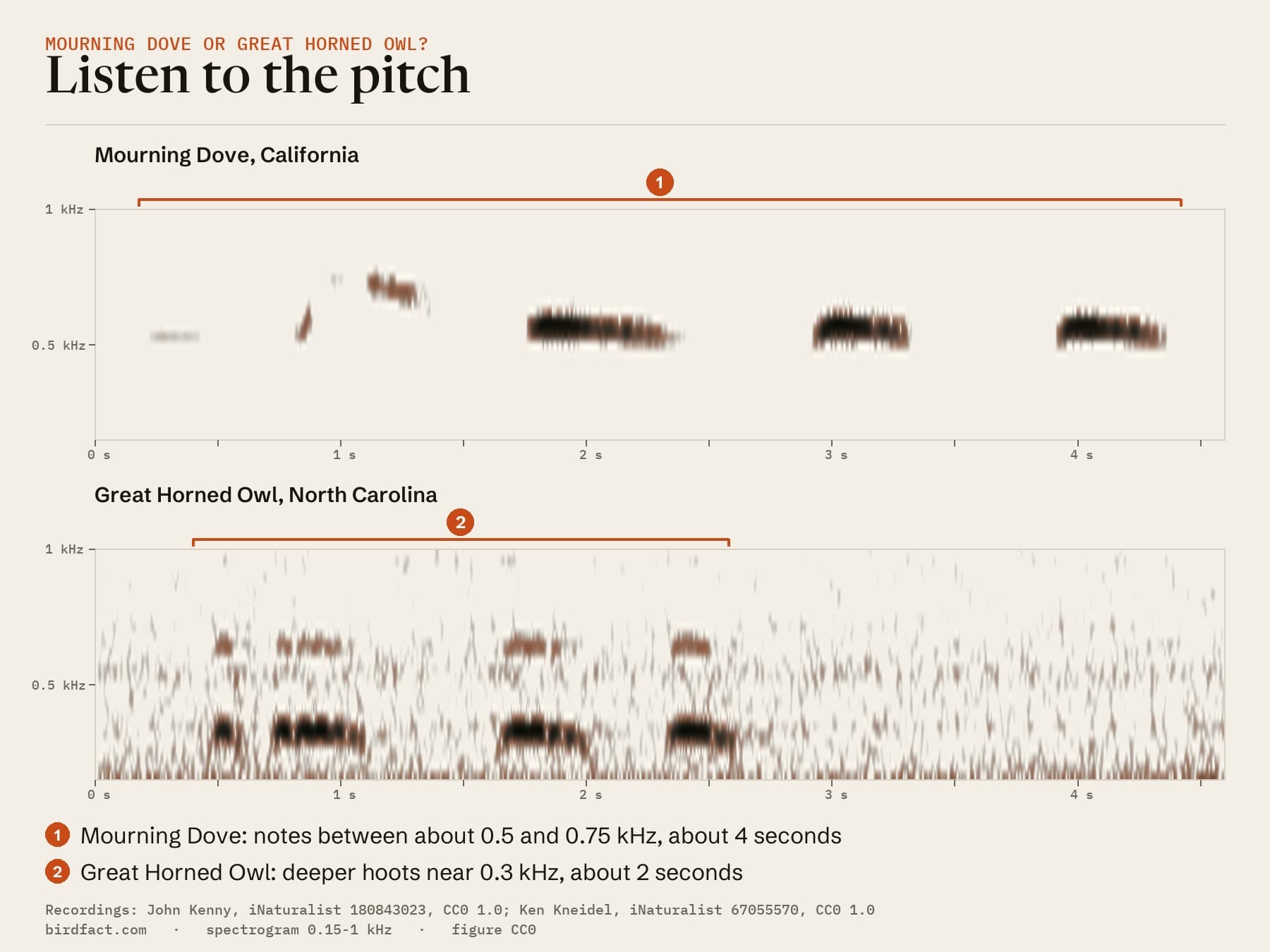 The Berkeley Mourning Dove above and a Great Horned Owl recorded in Charlotte, North Carolina, below, on one scale: the dove's song climbs and falls, then holds three level coos near 0.55 kHz, all of it between about 0.5 and 0.75 kHz over about 4 seconds; the owl's four deeper hoots sit near 0.3 kHz and take about 2 seconds.