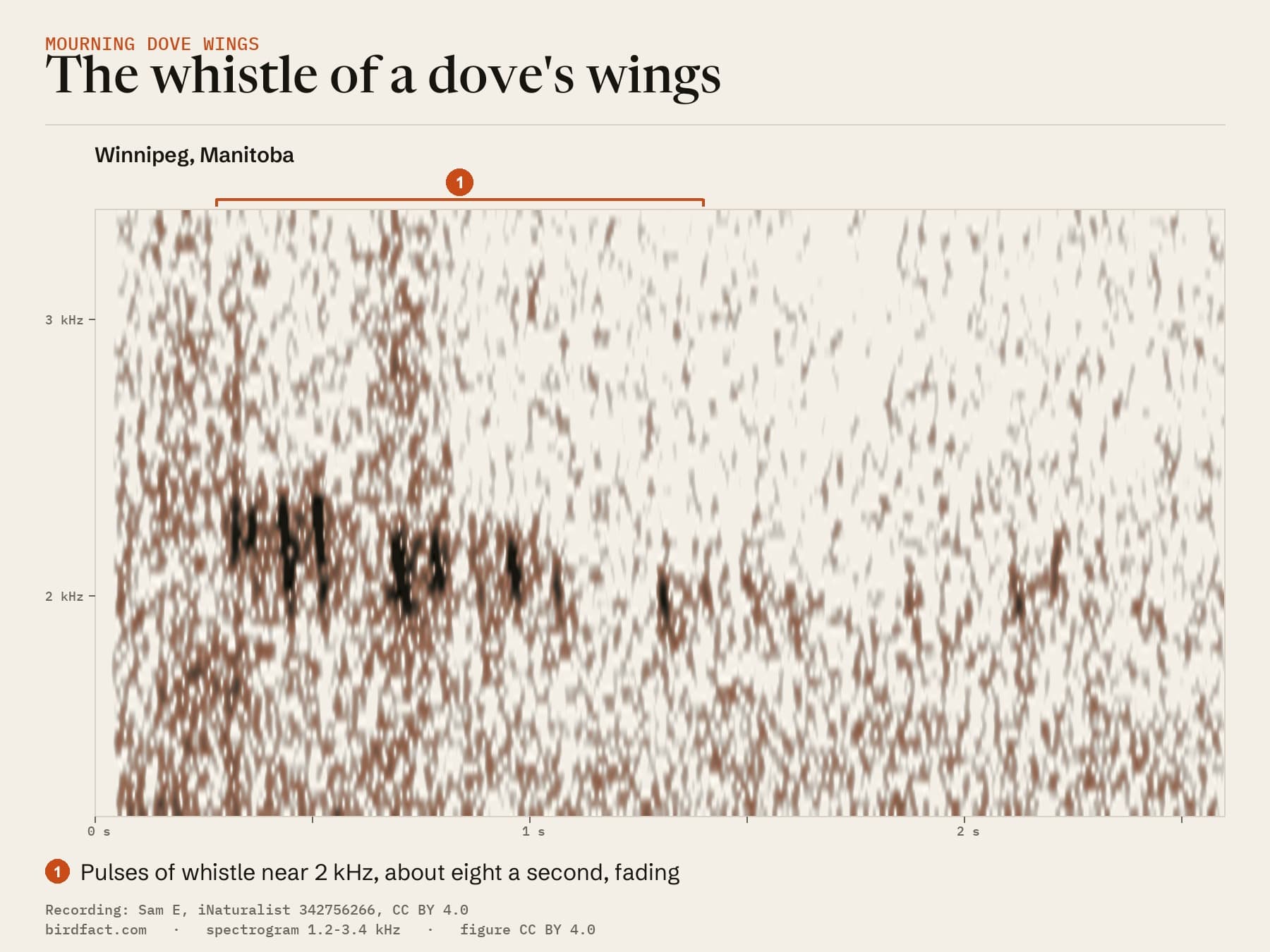 The Winnipeg recording as a spectrogram: a row of short pulses of whistle near 2 kHz, about eight a second, fading after a second. The speckle behind them is wind.