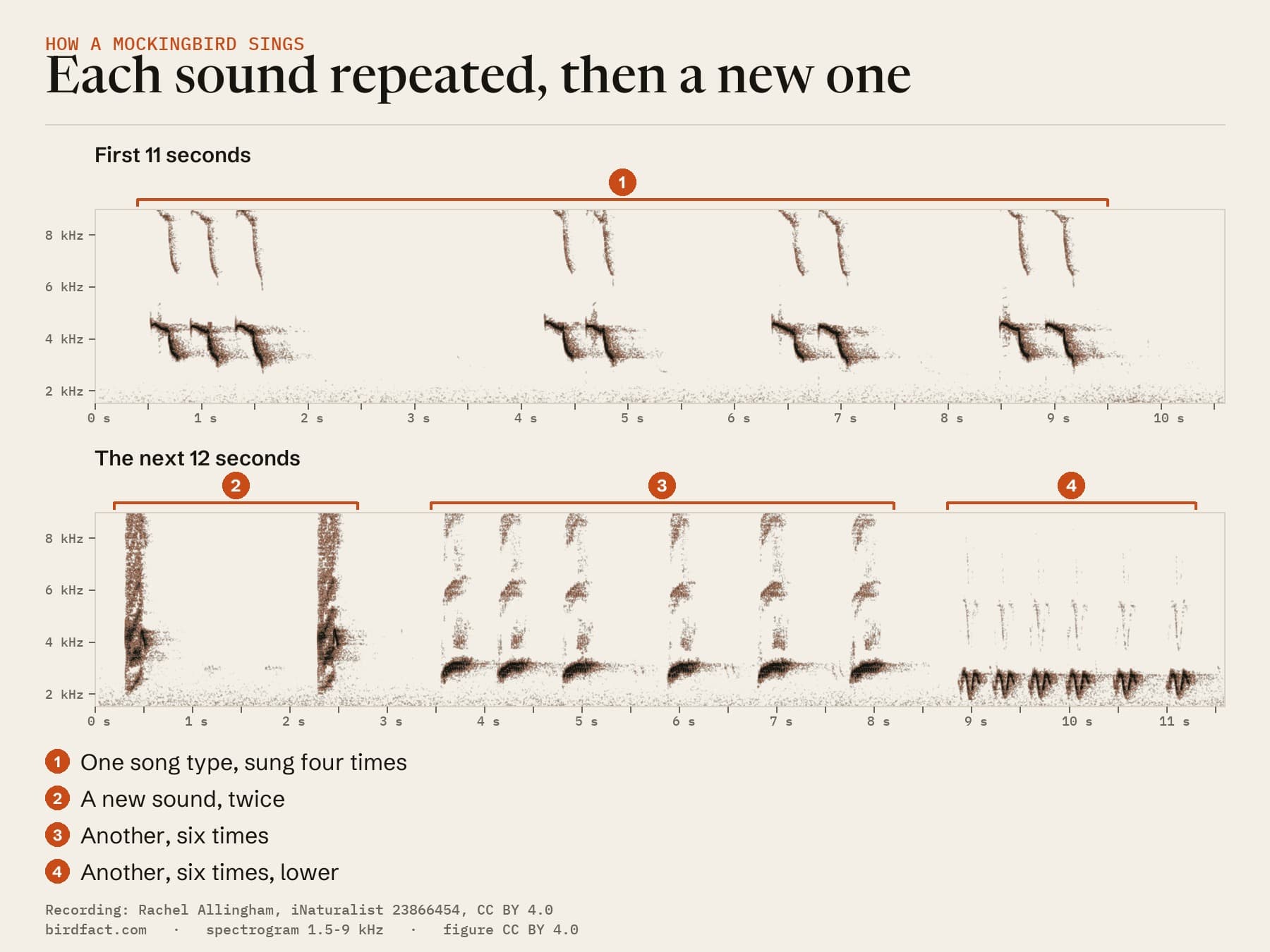 The California recording as a spectrogram, pitch against time: (1) one song type, a level note near 4.5 kHz that drops to about 3.3 kHz, sung four times in about nine seconds; (2) a new, harsh sound, twice; (3) another song type six times; (4) another, lower, six times.