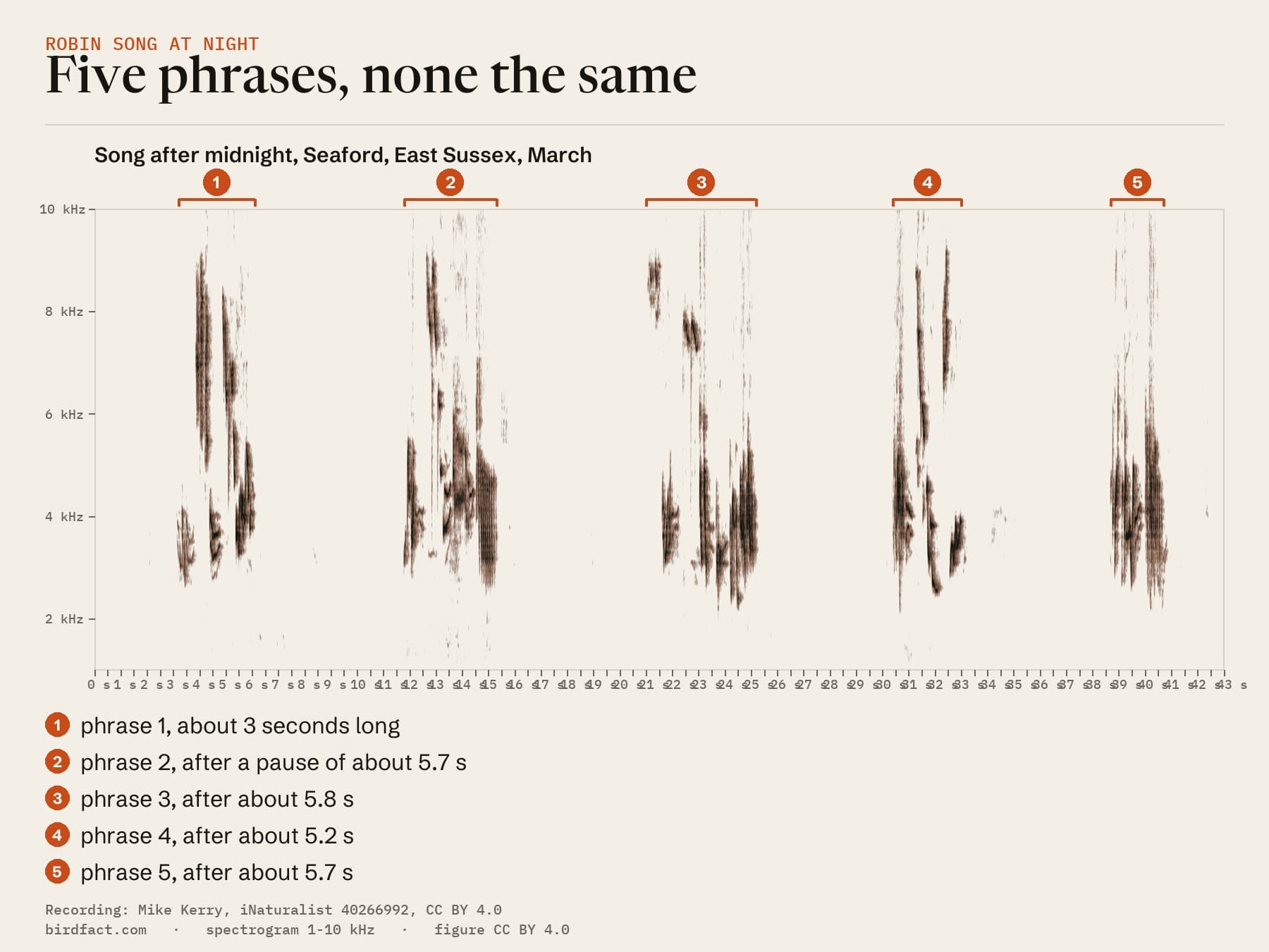 Our spectrogram of 43 seconds of Robin song after midnight at Seaford: five phrases, none the same