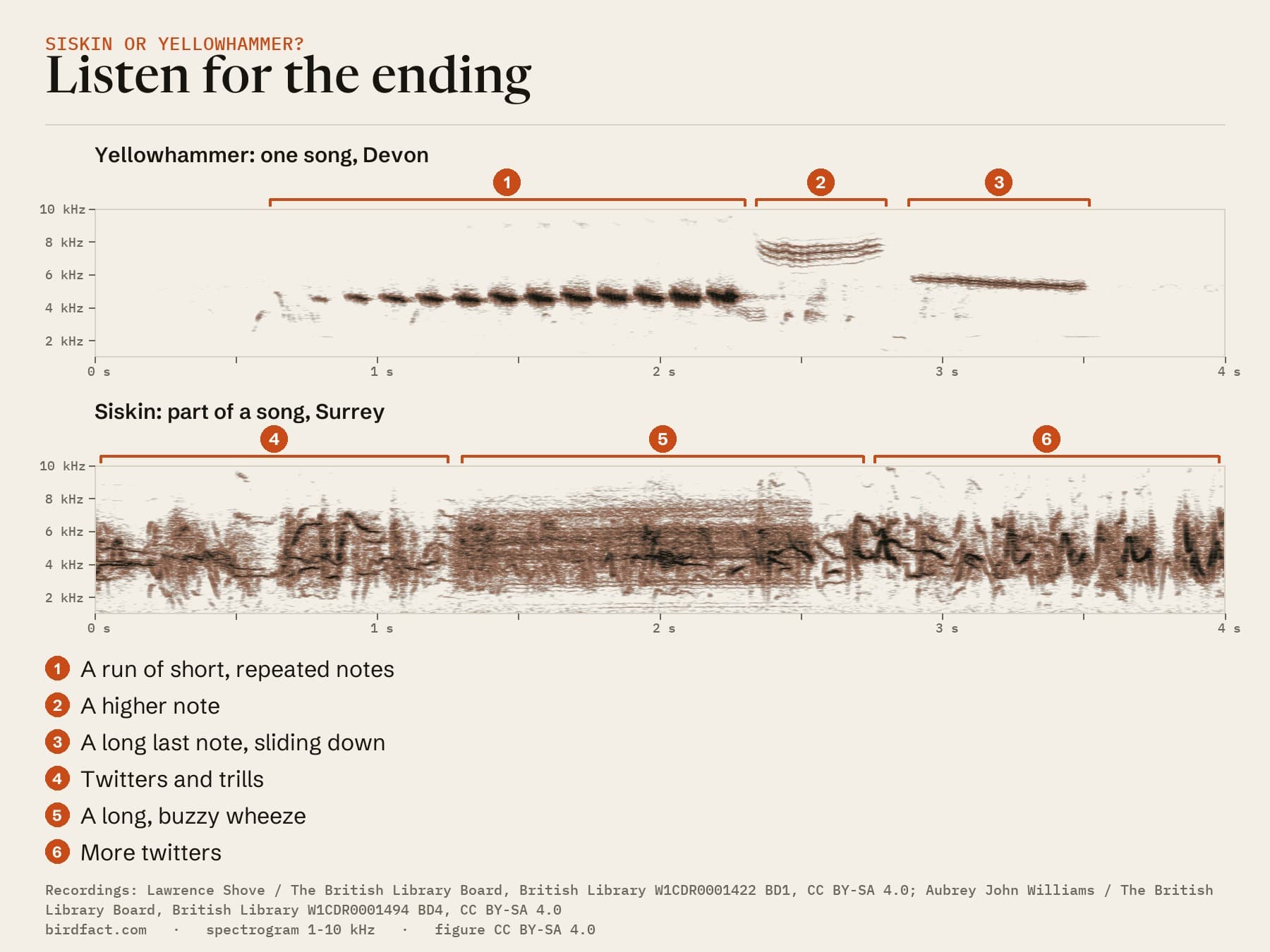Spectrograms of a Yellowhammer song and part of a Siskin song on one 4-second scale: the Yellowhammer's evenly spaced short notes, a higher note and a long falling last note; the Siskin's dense twittering with a long, buzzy wheeze
