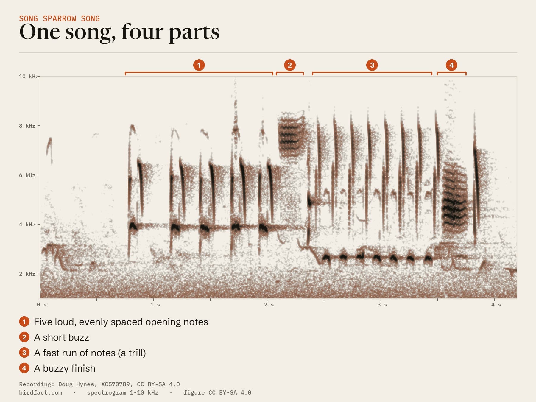 One song from the recording above, about 3 seconds long, drawn as a spectrogram (pitch against time): five evenly spaced opening notes, a short buzz, a fast trill, and a buzz near the end