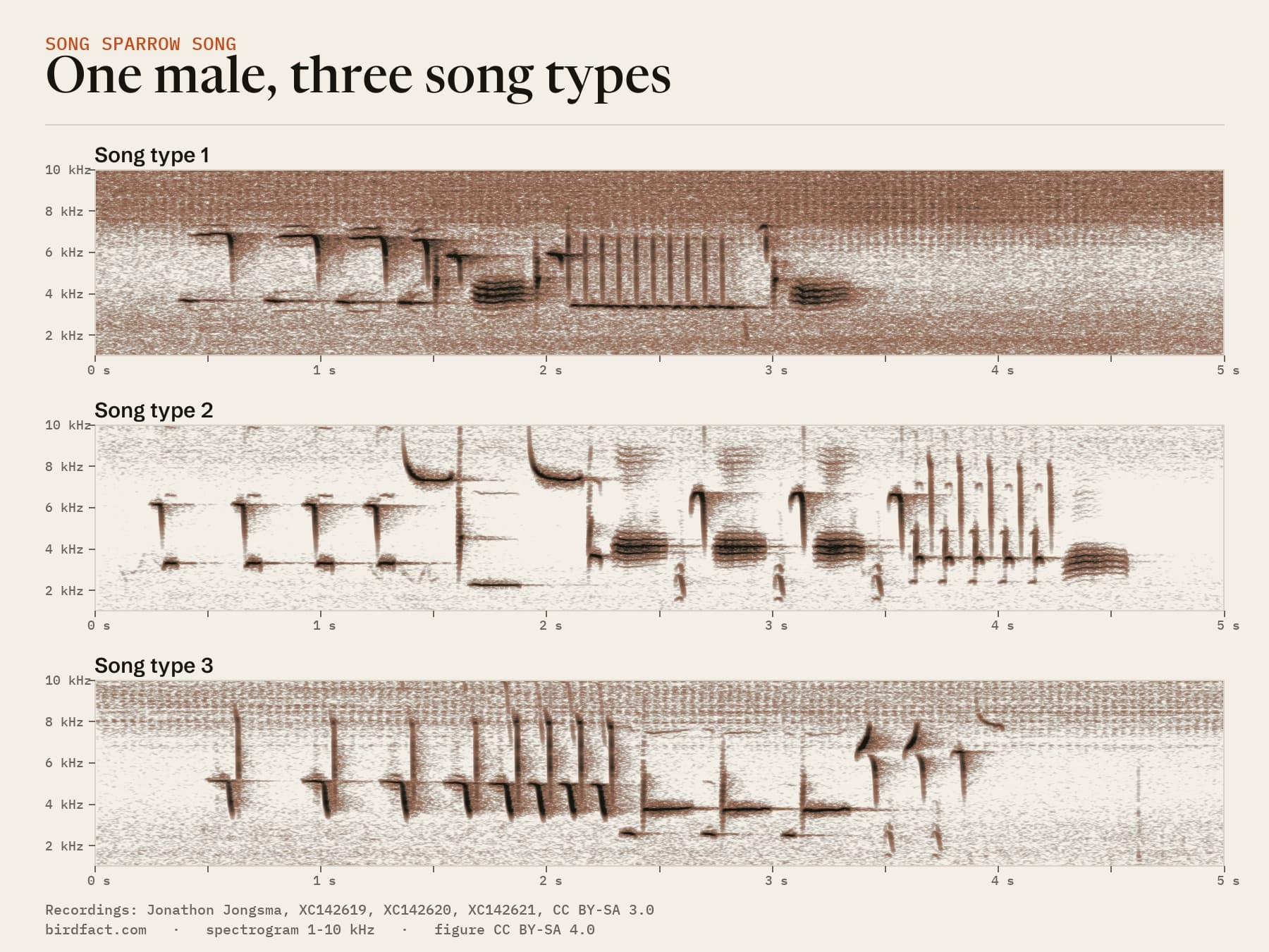 The same male's three song types as spectrograms: each opens with repeated notes, but the notes that follow are different