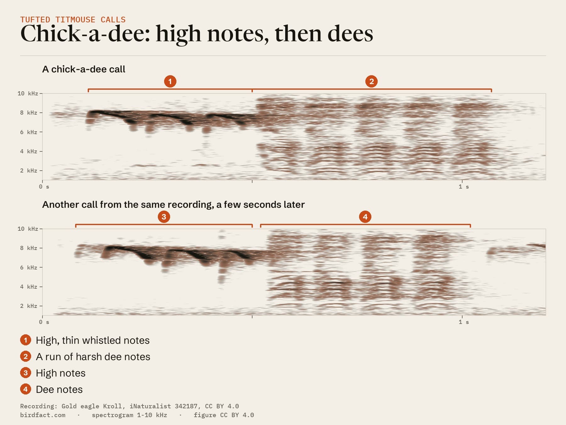 Two chick-a-dee calls from one recording: each starts with thin whistled notes near 7 to 8 kHz, then a run of harsh dee notes spread across the spectrogram