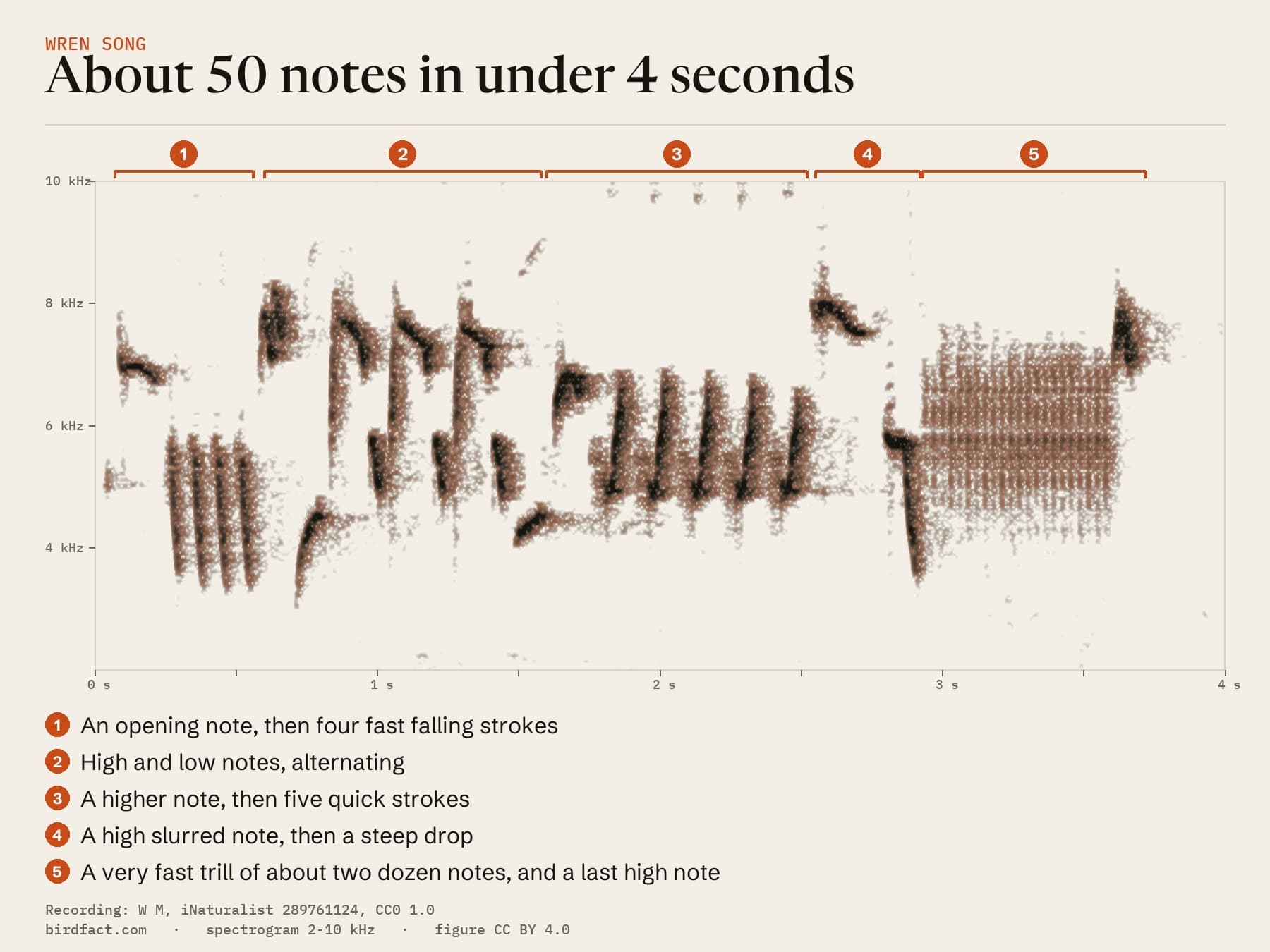 One Wren song from Sheffield as a spectrogram, its five parts numbered: an opening note and fast falling strokes, alternating high and low notes, a run of quick strokes, a slurred note and a steep drop, then a very fast trill